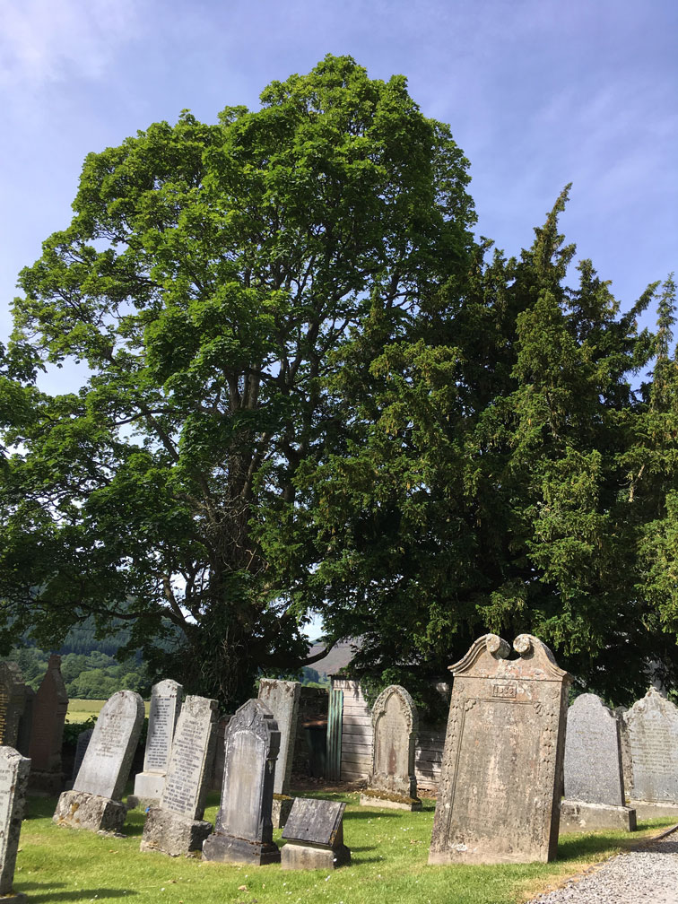 Friedhof von Fortingall